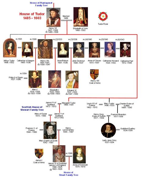 tudor succession order.